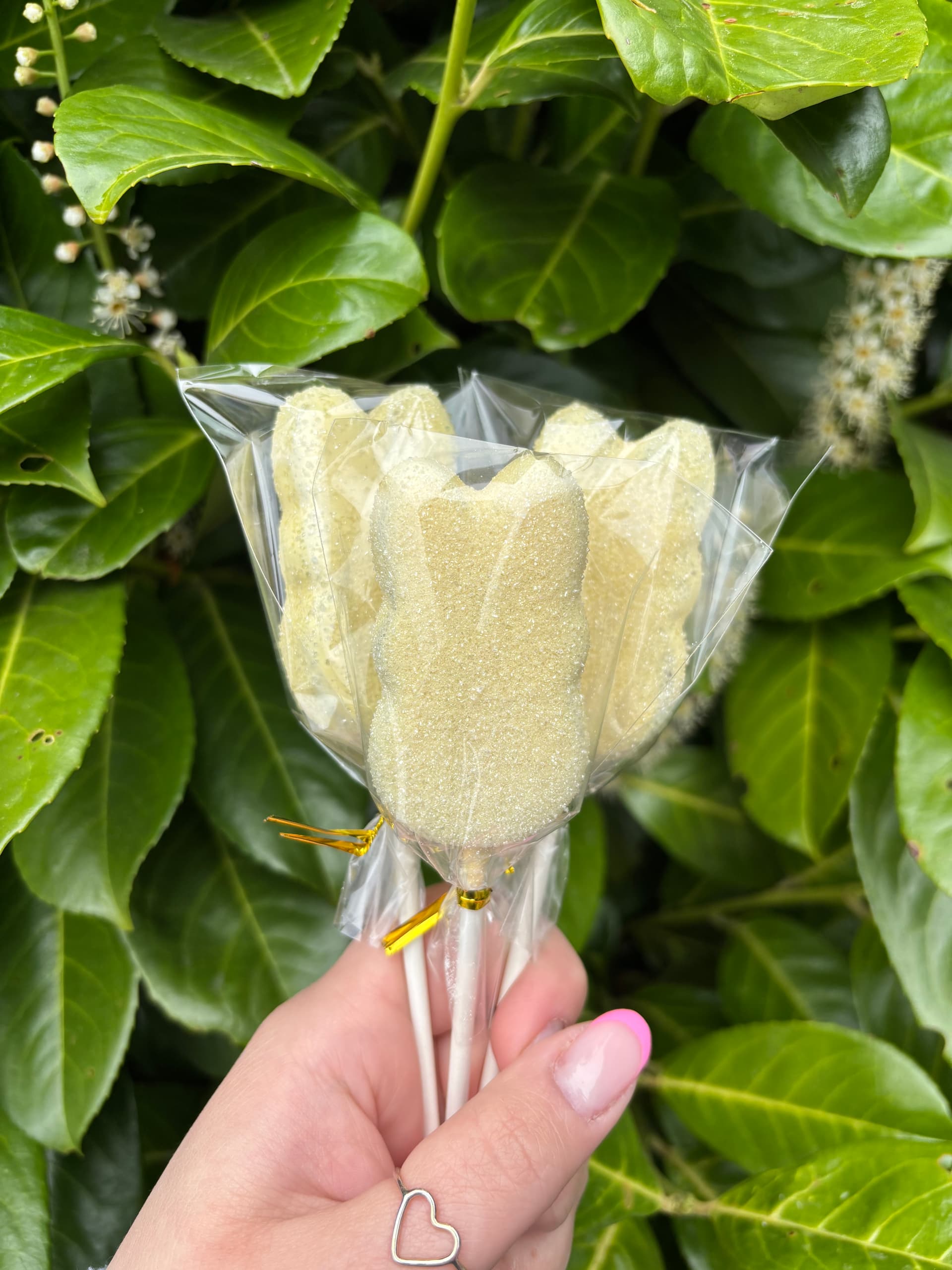 A hand holding a bundle of pale yellow-green glittered cake pops wrapped in cellophane with gold twist ties.