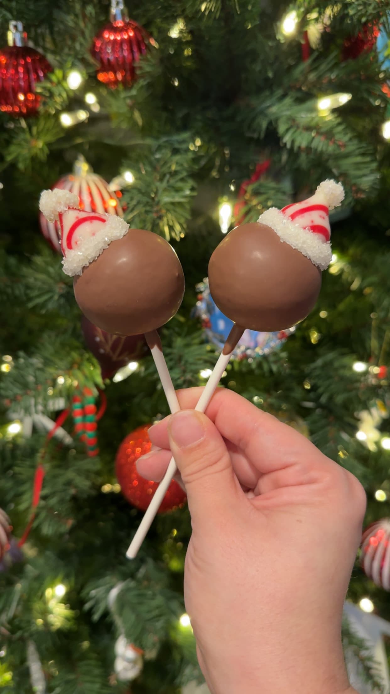 Two chocolate cake pops topped with a Santa hat, held up near Christmas tree lights.